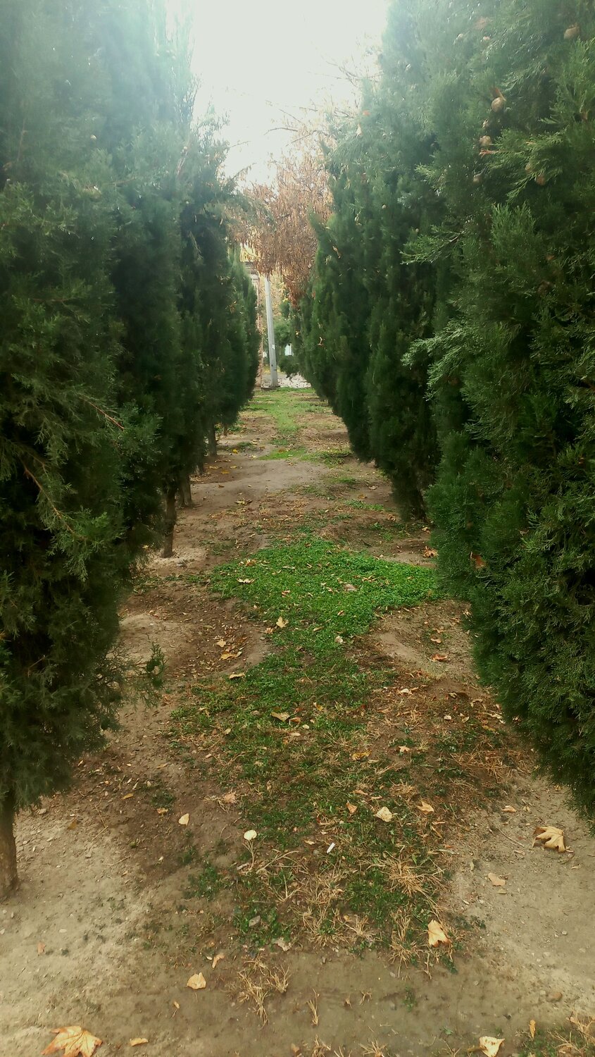 Photo #10509036