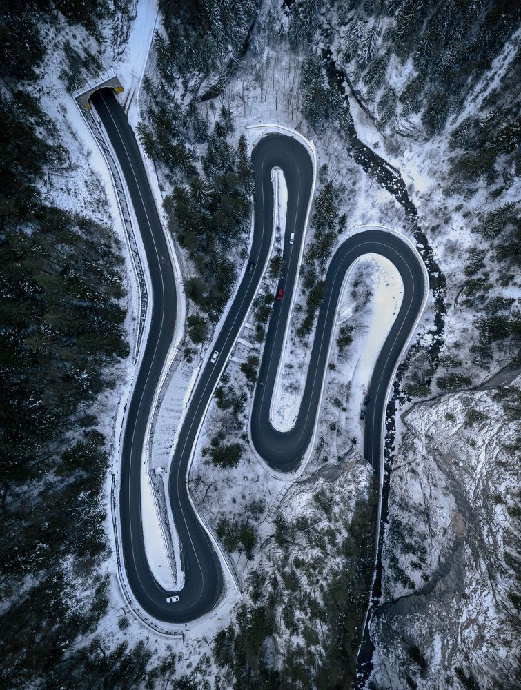 Фотография автора Ioana Crisan