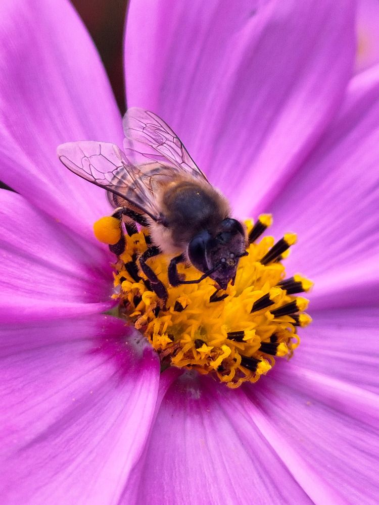 Фотография автора Bernadette Pretorius