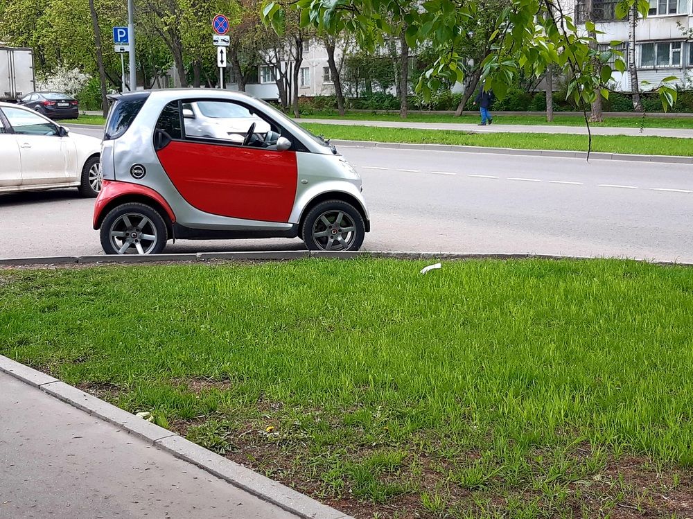 Photograph by Екатерина