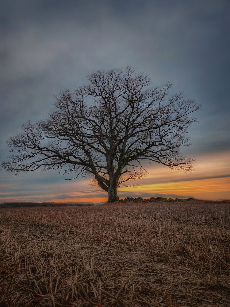 Фотография автора Alina Filimonova
