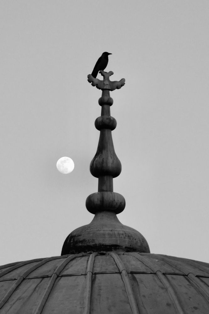 Photograph by Светлана Маримонова