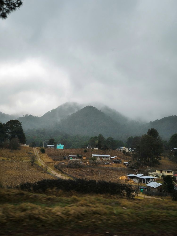 Photograph by Javier Hernandez