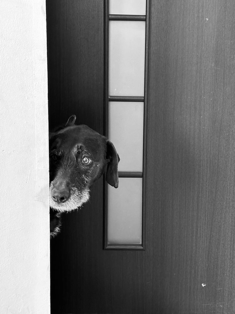 Photograph by Dina Chekhova