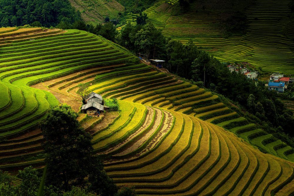 Photograph by Trần Duyệt