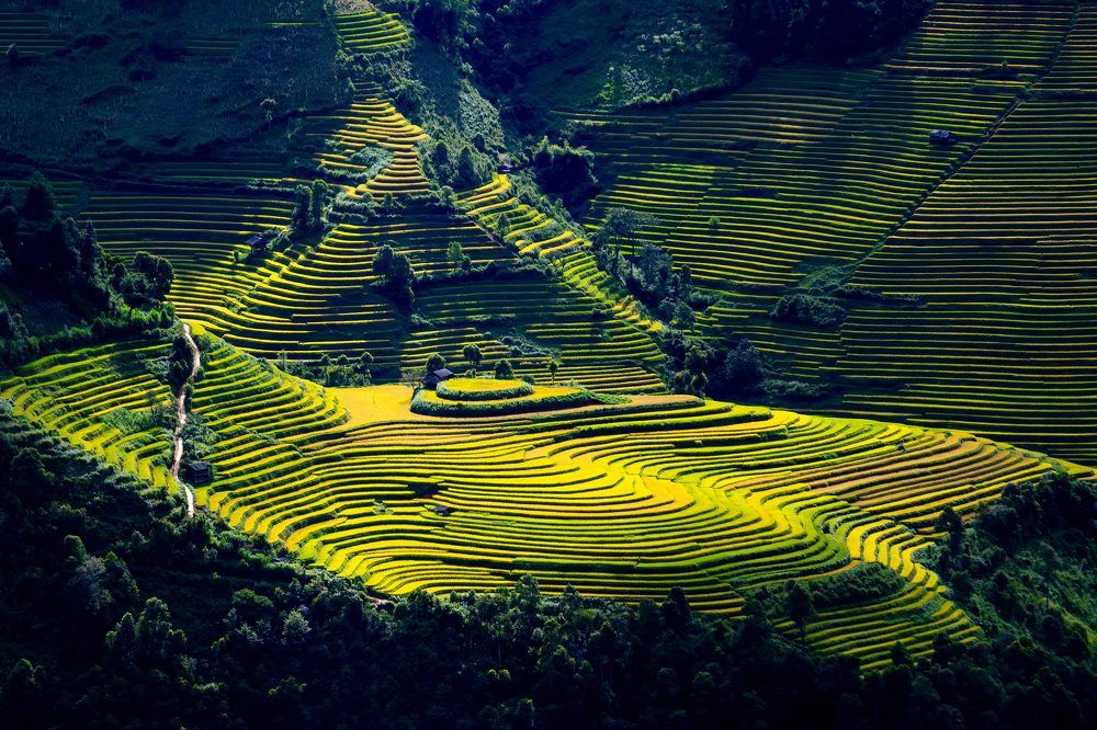 Photograph by Trần Duyệt