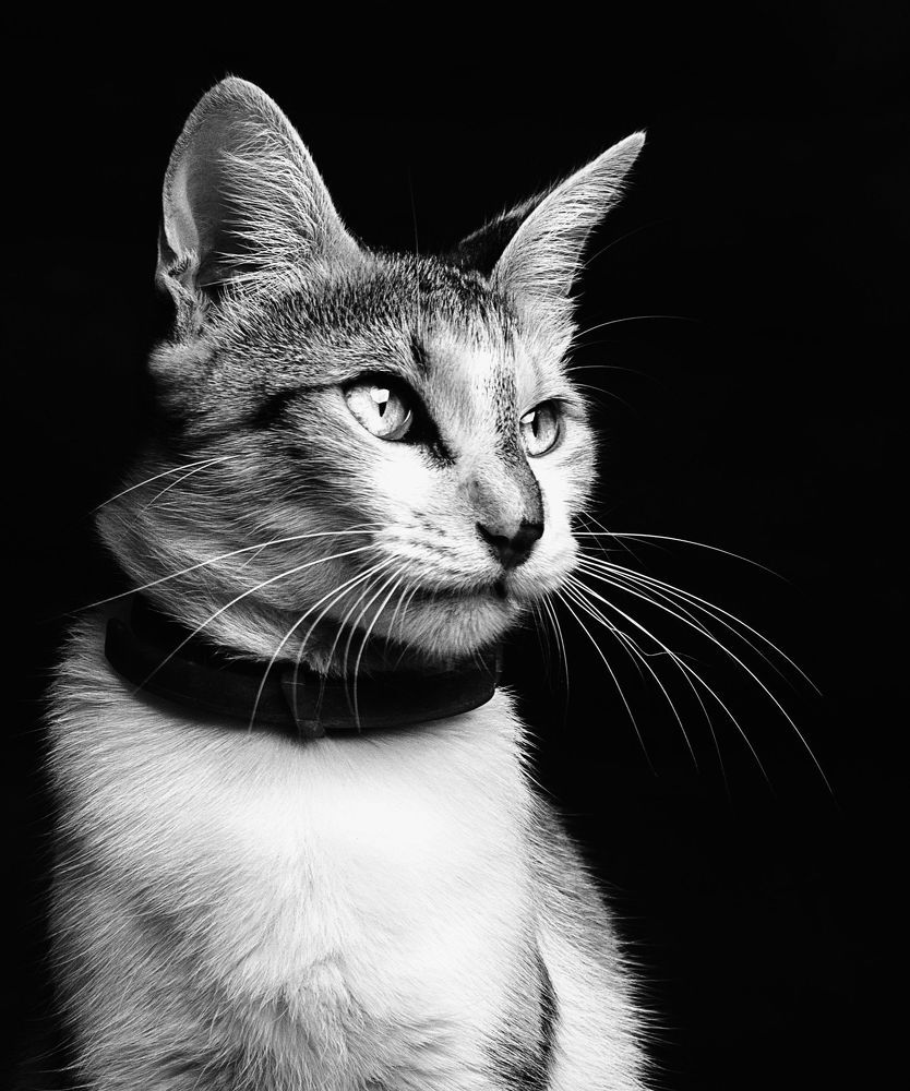 Photograph by jose colina