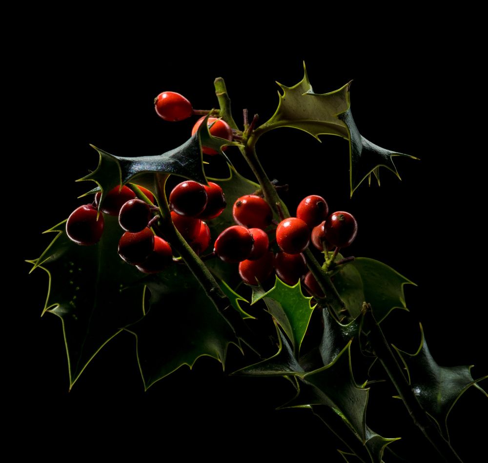 Красное на черном