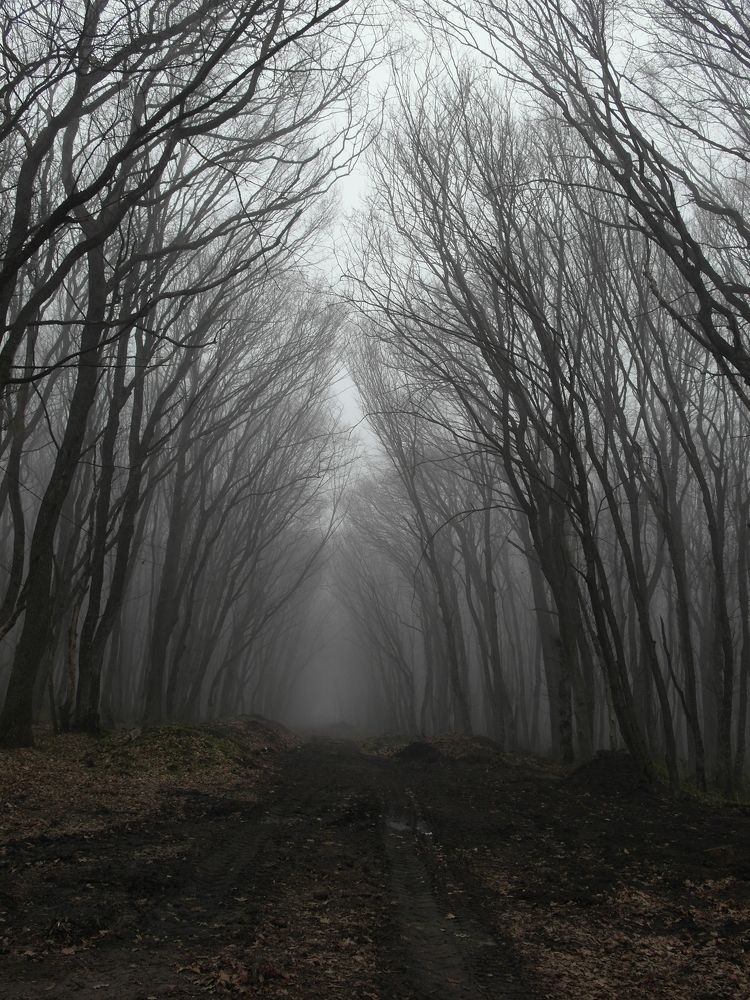 Photograph by Всеволод Маслов