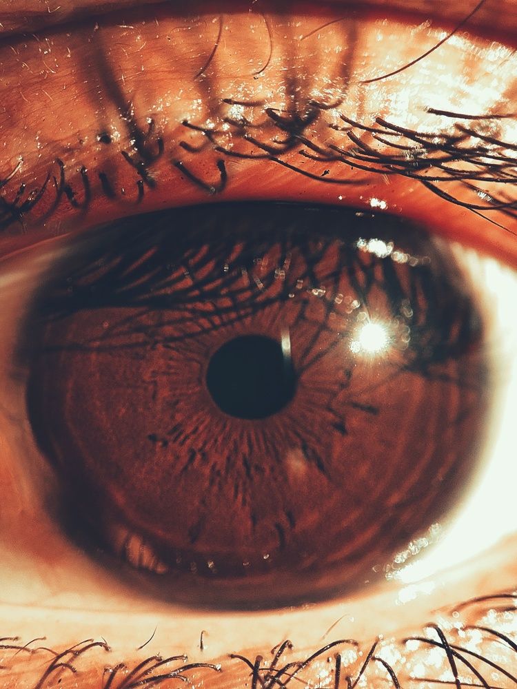 The most beautiful thing on earth, "eye"