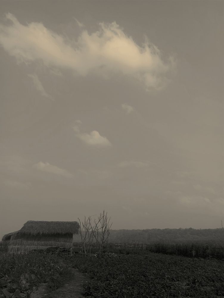 Mobile photography