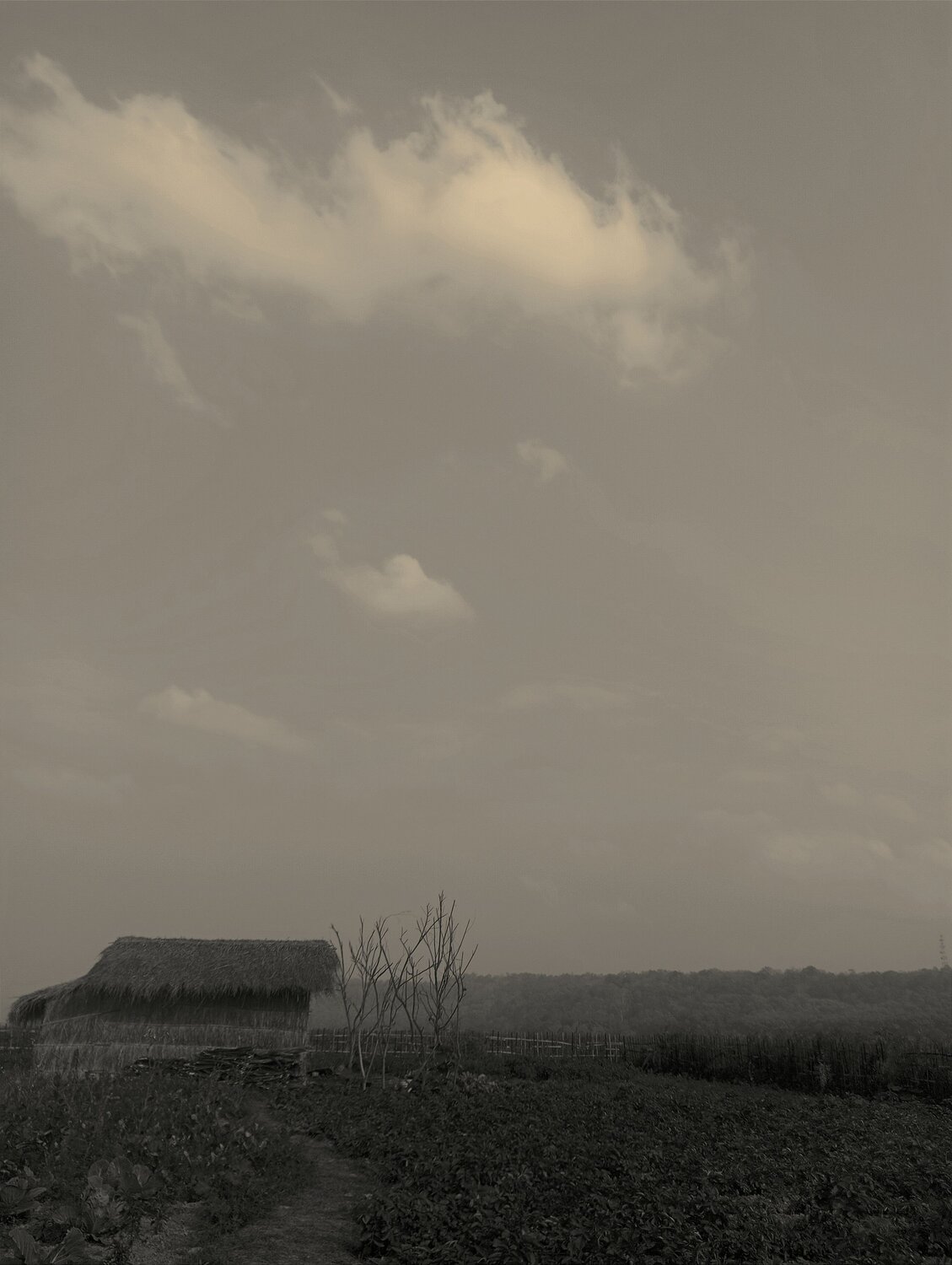 Mobile photography