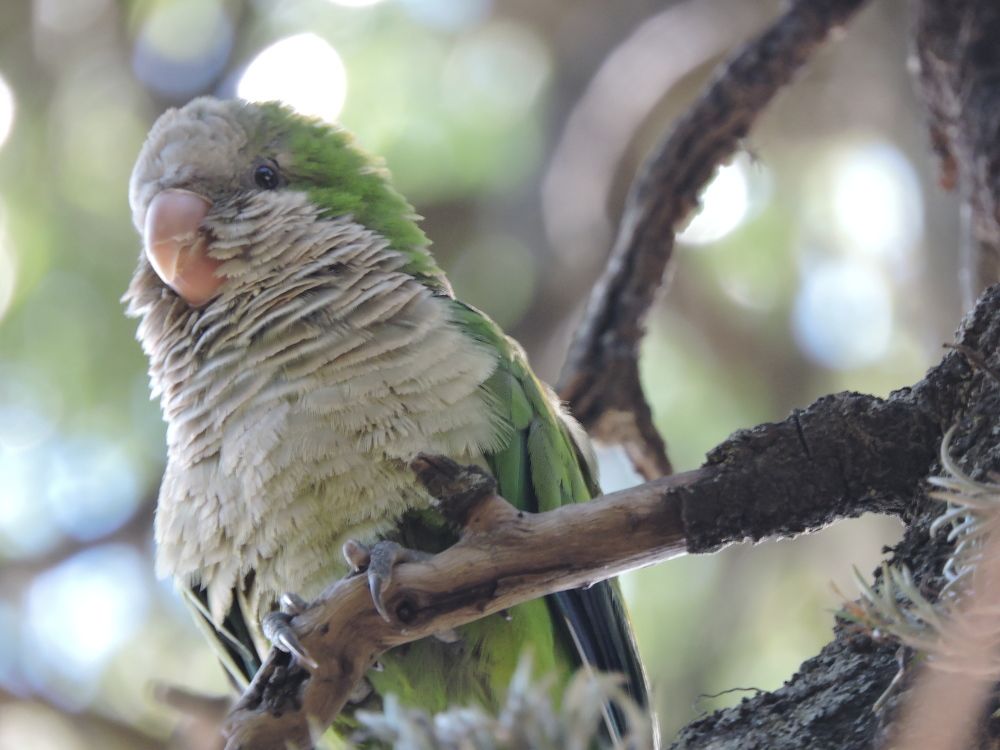 Photograph by Silvia Viviana Lindner