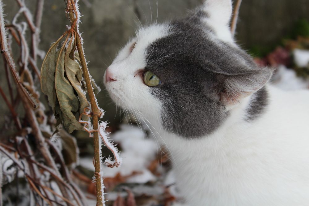 Photograph by Юлия Рыбинцева