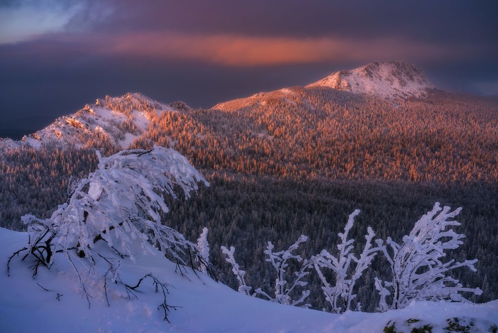 Photograph by Межин Сергей