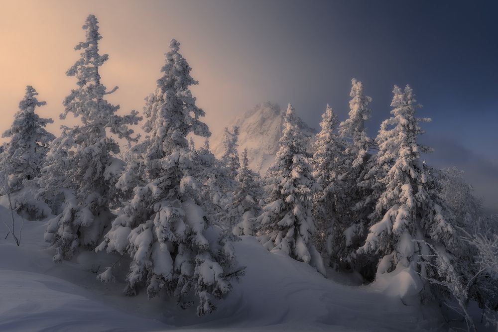 Photograph by Межин Сергей