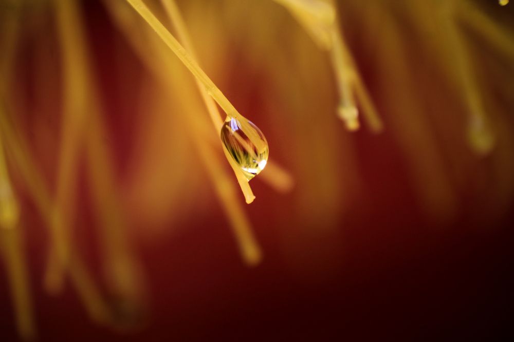 Photograph by Kaustav Ghosh