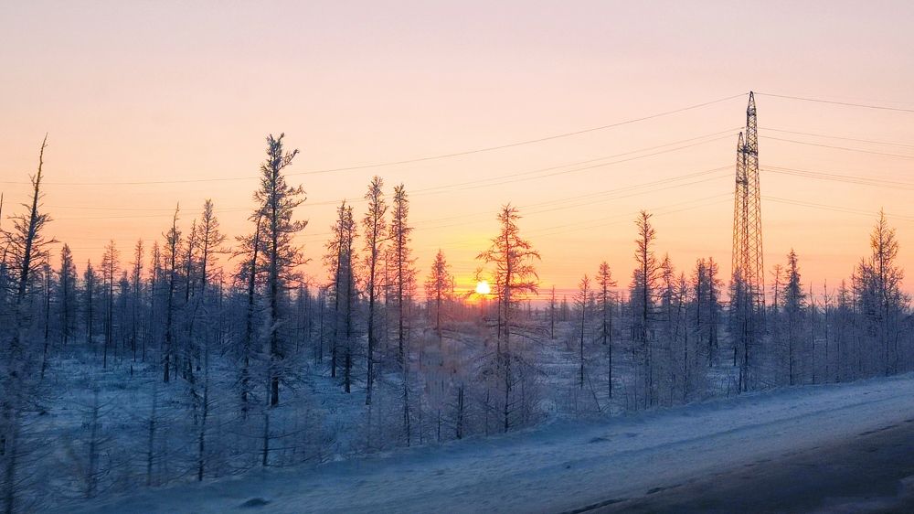 Фотография автора Николай