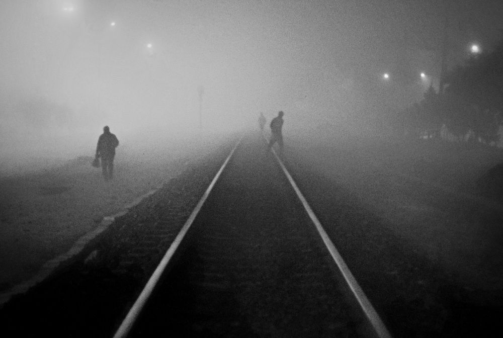 Фотография автора mahmoud reza shahbazian