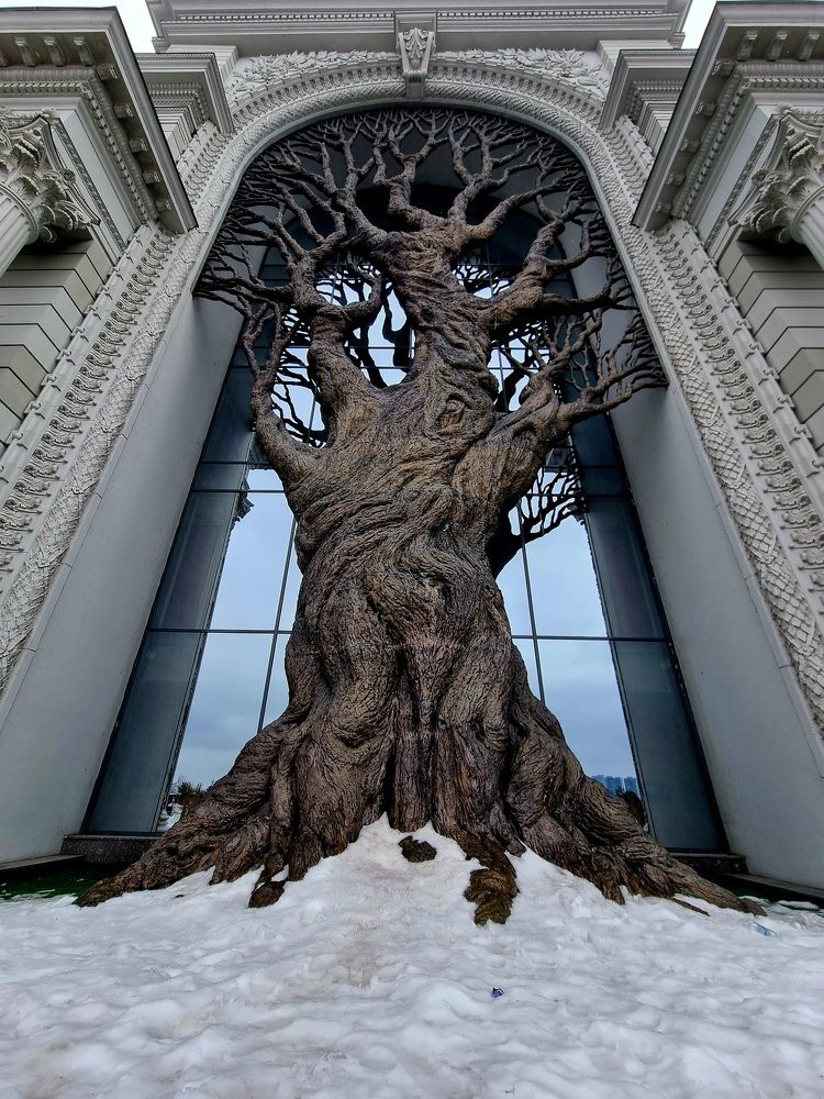 Photograph by Александра Федоряк