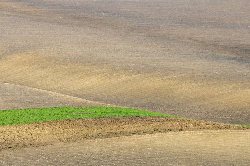 AGRICULTURAL TEXTURES