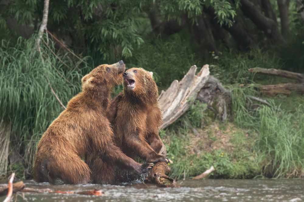 Photograph by Elena Levi