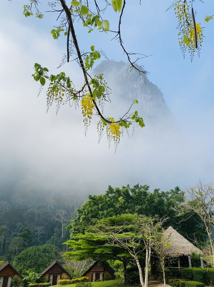 Photograph by Виктория Ярина