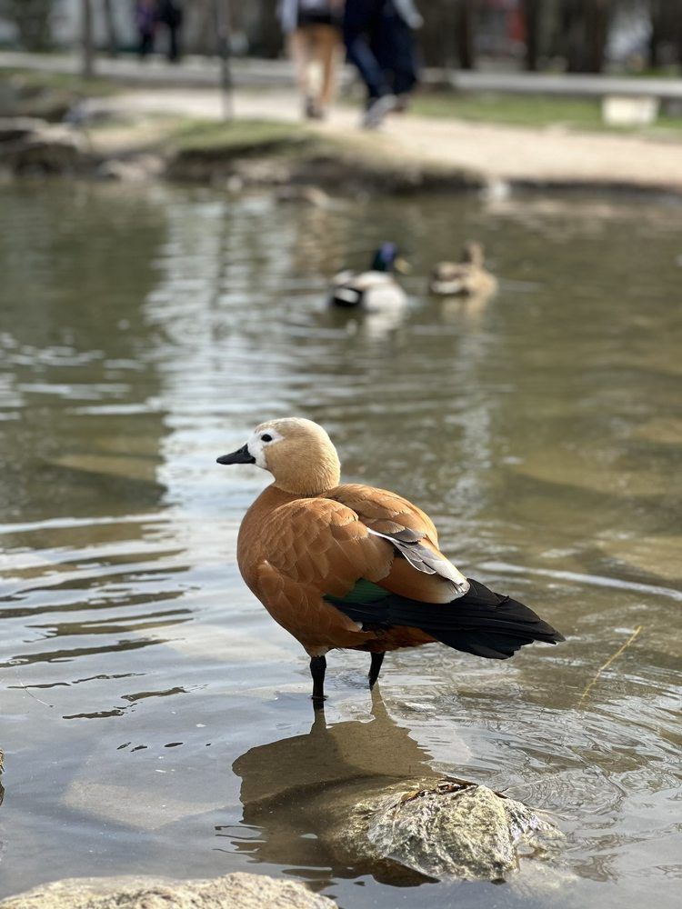 Photograph by Ольга Павлова