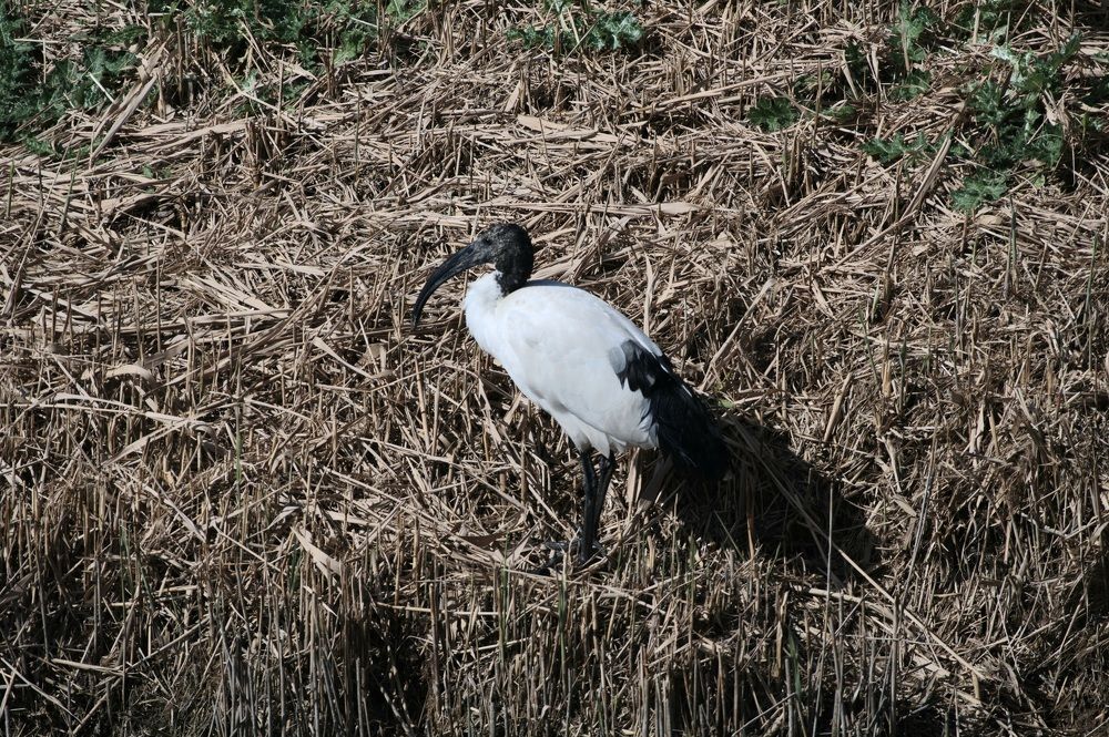 Photograph by Luca liberotti