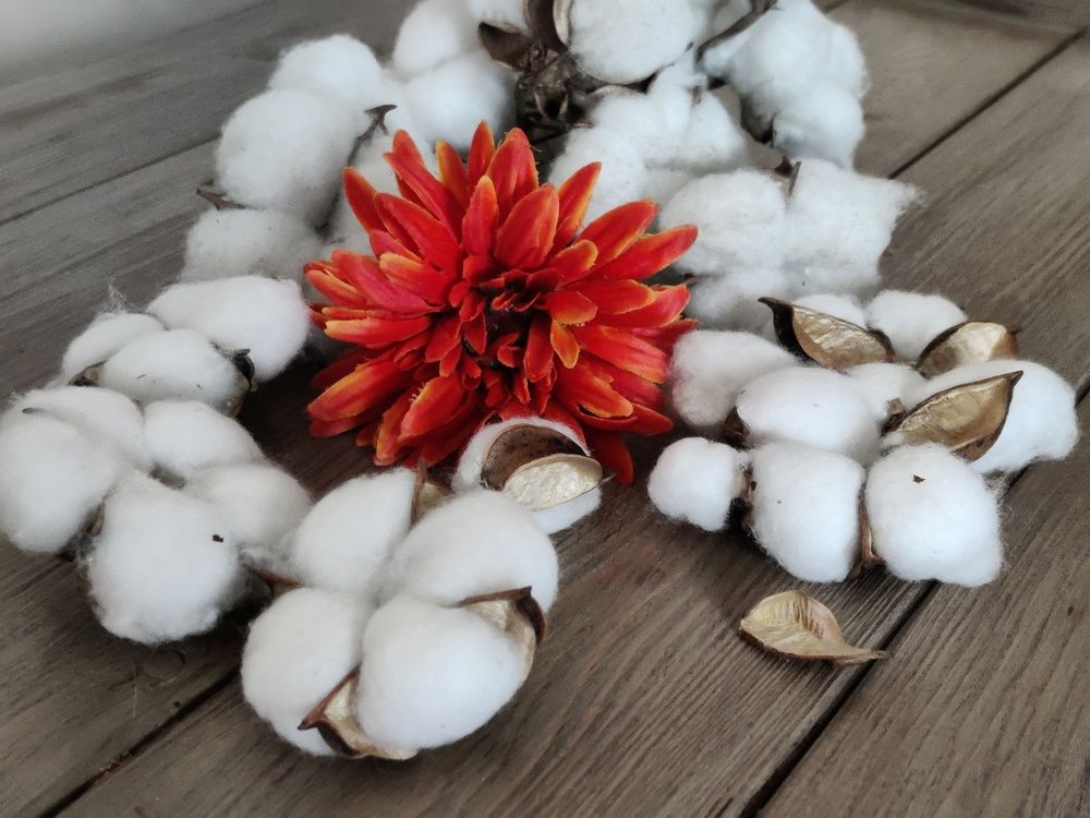 Красный октябрь