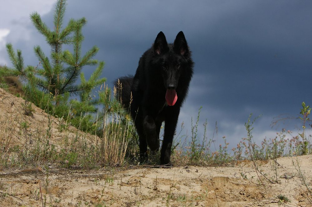 Фотография автора Надежда Лисицына