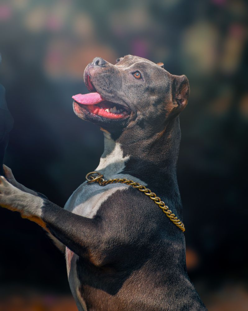 Photograph by Lalith Ravi