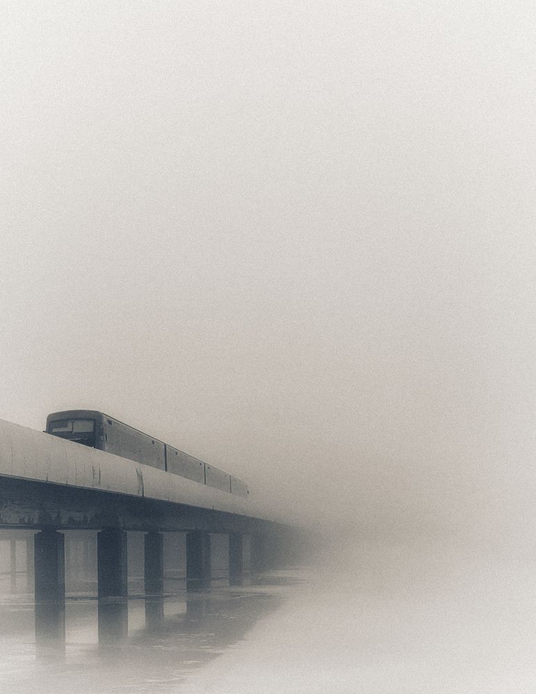 Фотография автора Elga Shtern