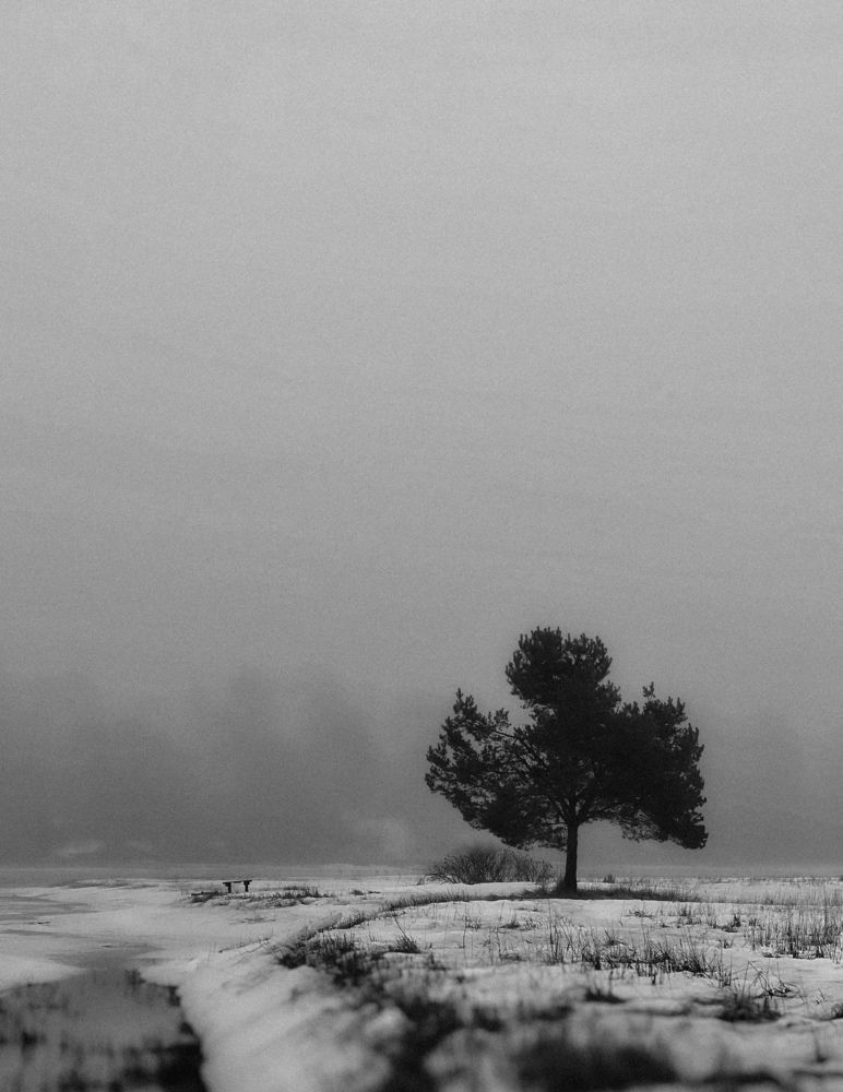 Фотография автора Elga Shtern