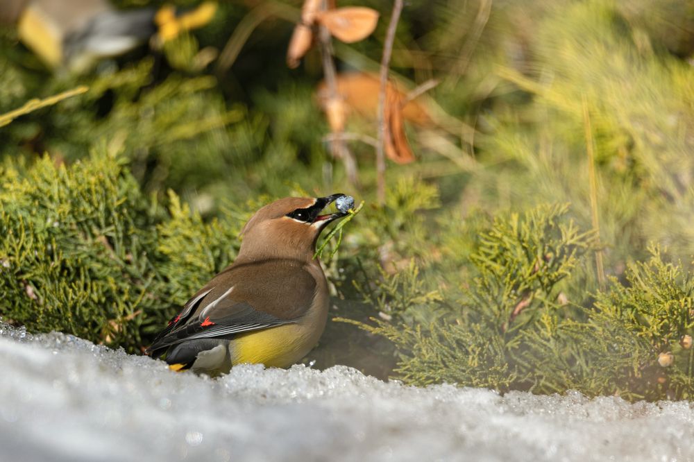 Фотография автора Brian Kinghorn