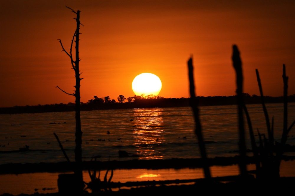 Photograph by Patricia Delionardis