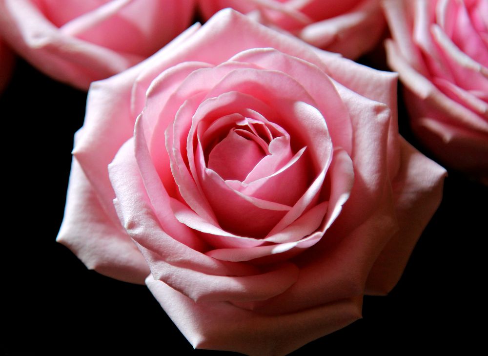 Photograph by София Лаврентьева