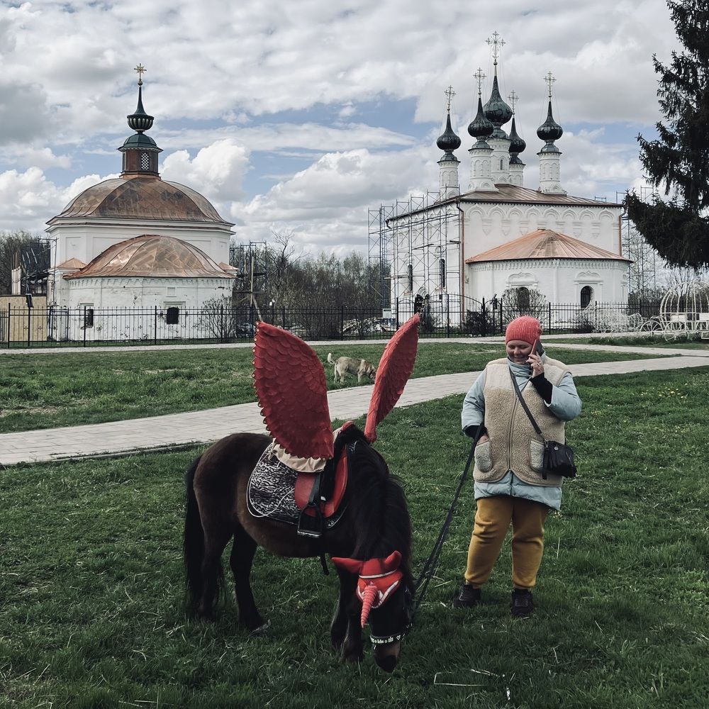 Photograph by Евгений Земцов