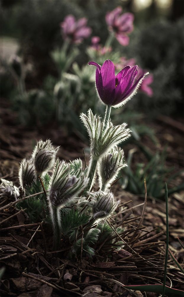 Утеплён и прекрасен