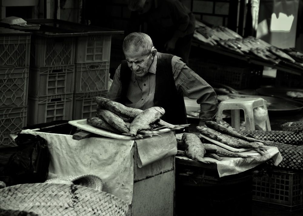 Фотография автора Milad Shabanzadeh