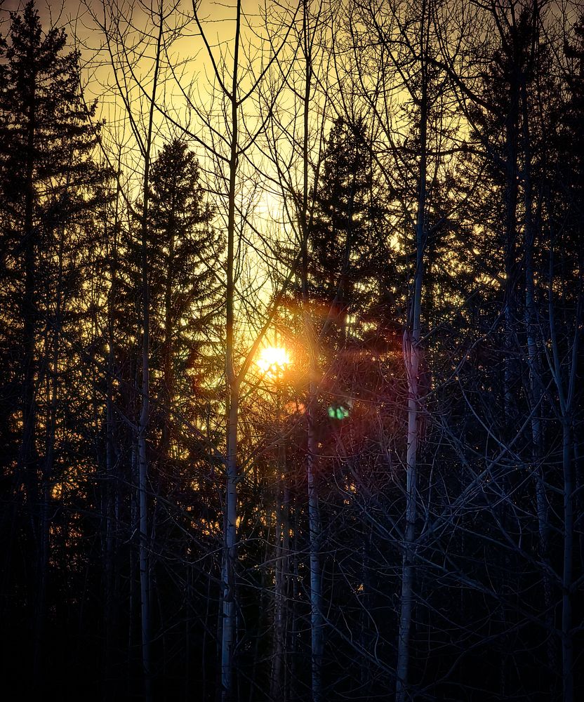 Photograph by Александр Вихарев