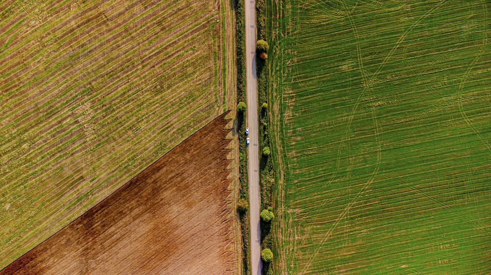 Photograph by Игорь Скорняков