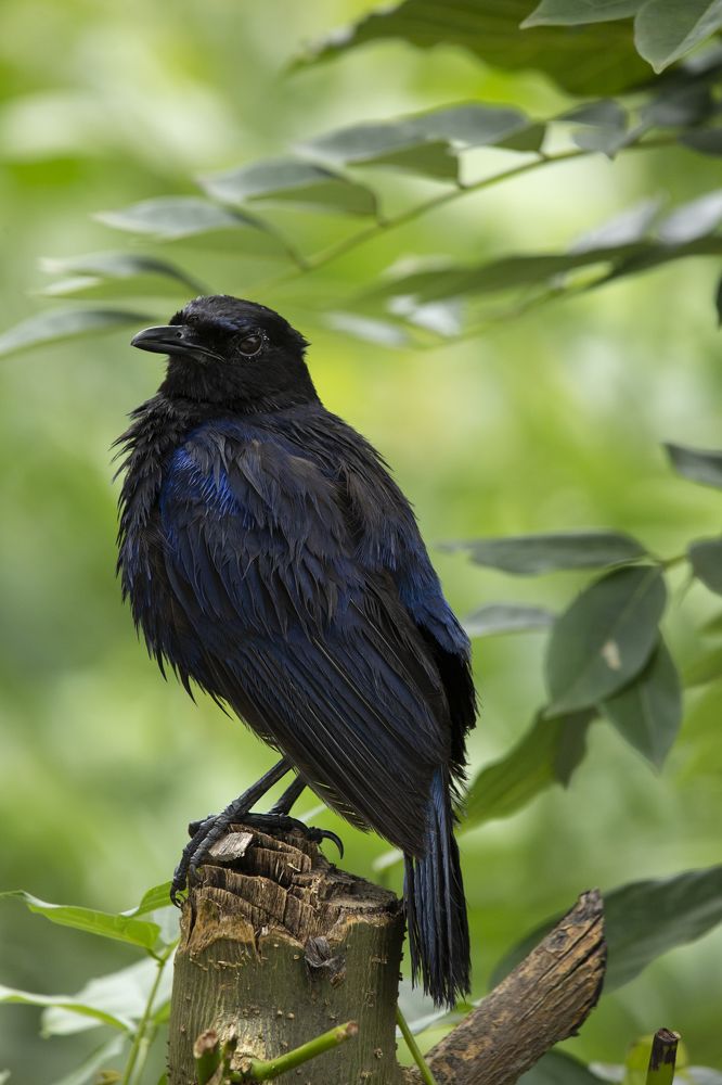 Photograph by Nikhil dharmaraj