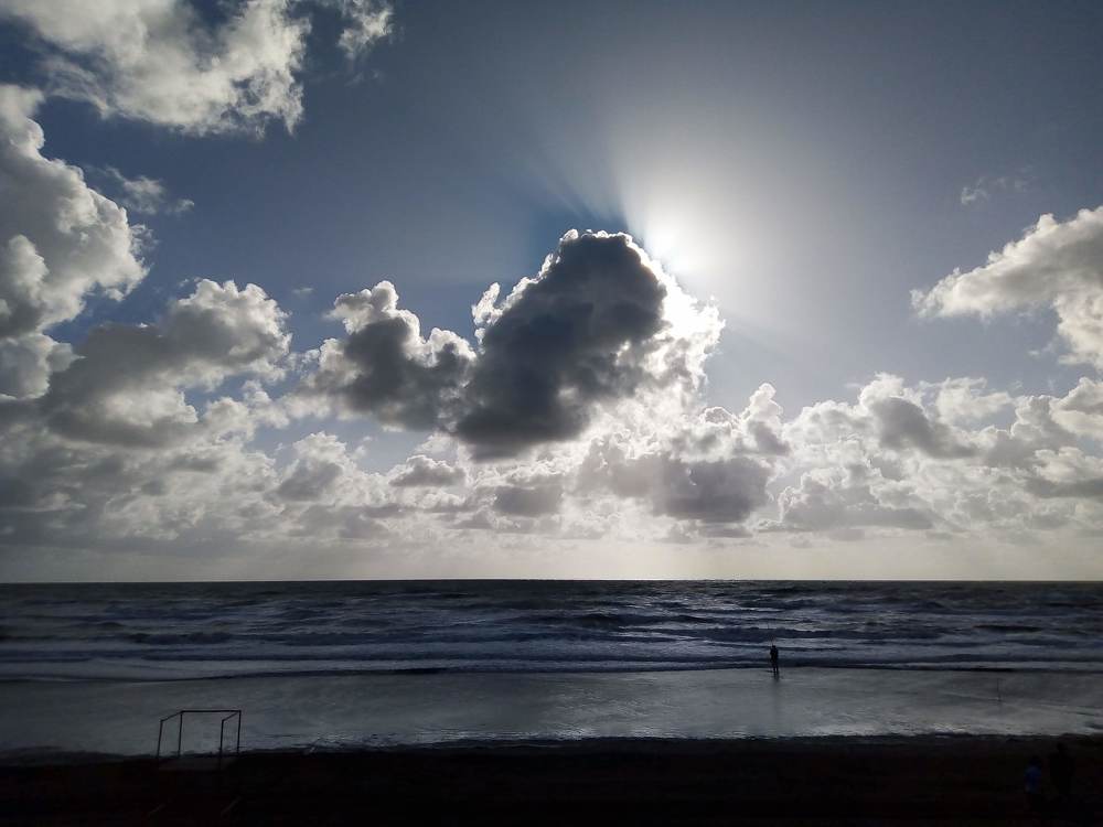 Photograph by Patricia Delionardis