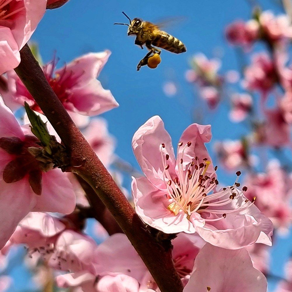 Photograph by Евгений Фесенко