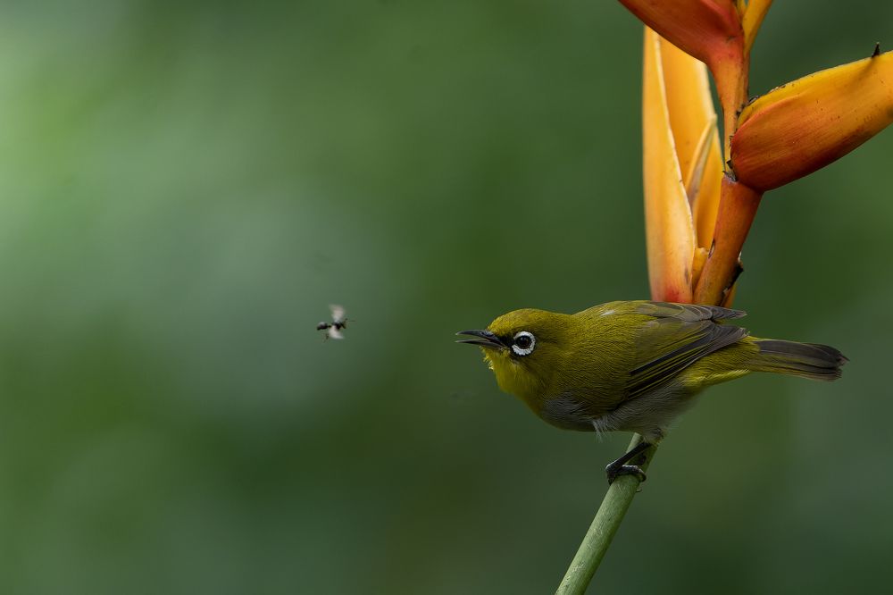 Photograph by Raju Nair