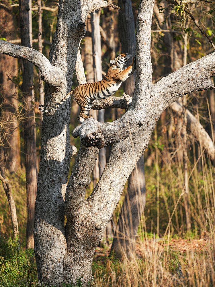 Photograph by Akash Akinwar