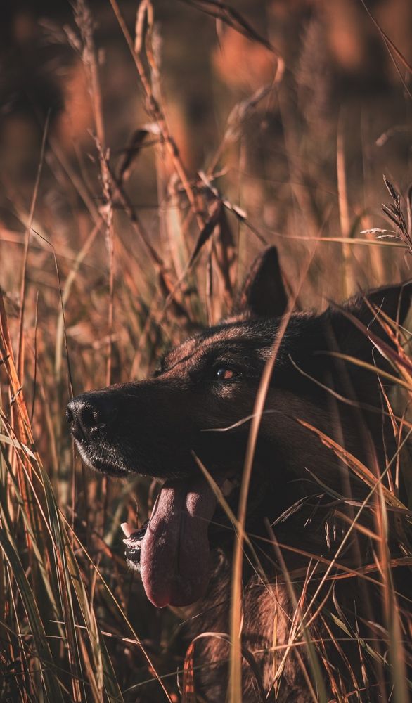 Photograph by Алина Плотникова