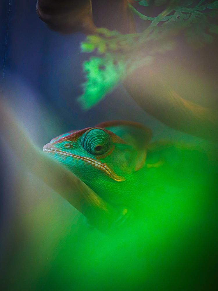 Photograph by Игорь Толкачев