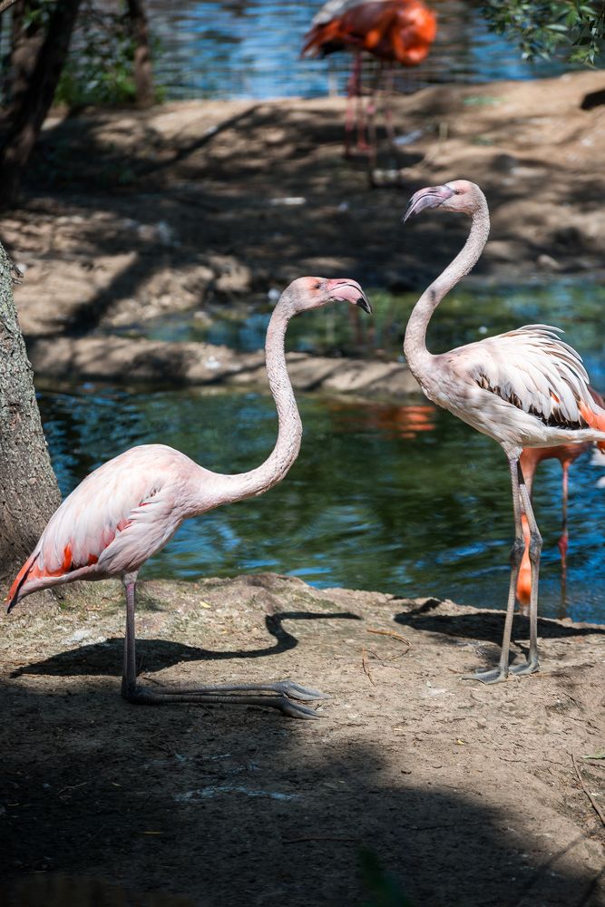 Фотография автора Ольга Круковская